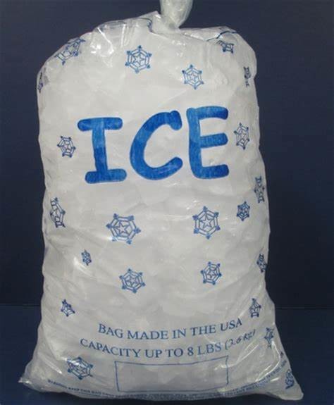 Sacs de glace 10LBS réutilisables